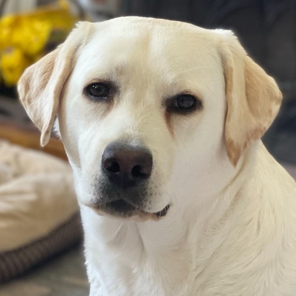 Meet your Posher, Monica - Picture 7 of 7